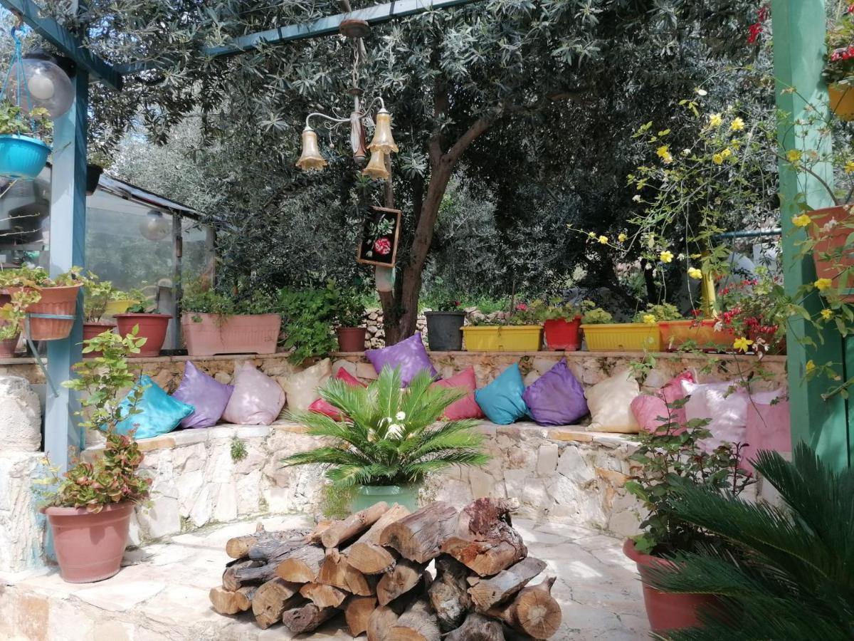 بيت الطبيعة Nature House Jarash Eksteriør billede