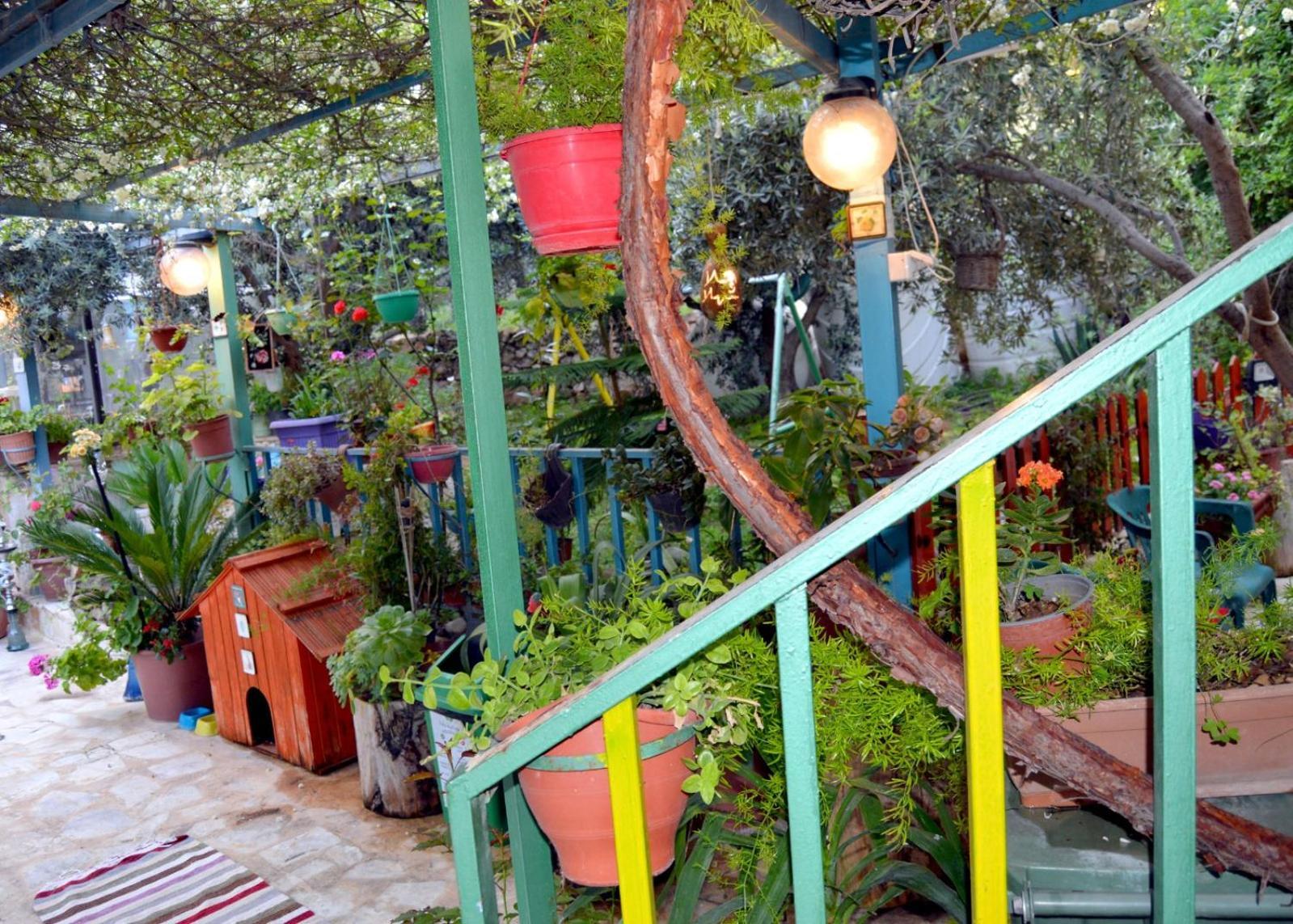 بيت الطبيعة Nature House Jarash Værelse billede